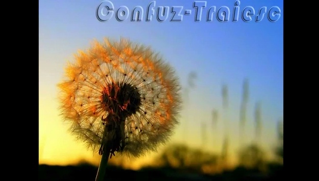 Confuz-Traiesc