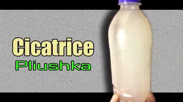 Cicatrice – Pliushka
