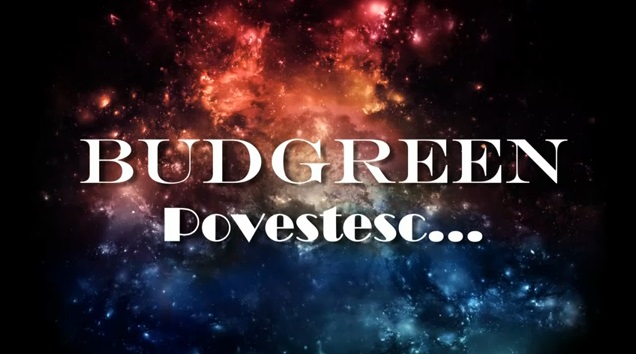 Bud Green-Povestesc