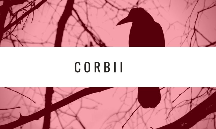 CORBII – Secvente