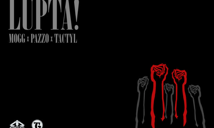 Mogg feat Pazzo & Tactyl – Lupta