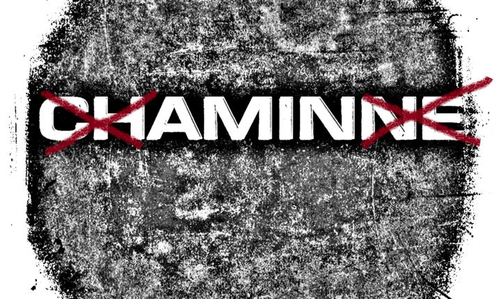 Chaminne – Vicu